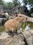 伊豆シャボテン動物公園に投稿された画像（2025/10/19）