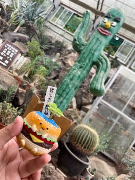 伊豆シャボテン動物公園に投稿された画像（2025/10/19）