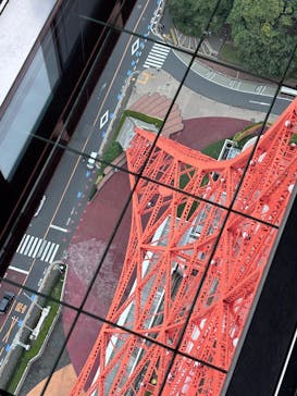 東京タワーに投稿された画像（2025/10/19）