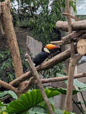 那須どうぶつ王国に投稿された画像（2025/10/19）