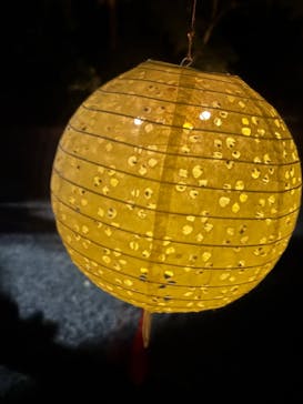 夜間特別開園 秋の夜長の小石川後楽園2025に投稿された画像（2025/10/19）