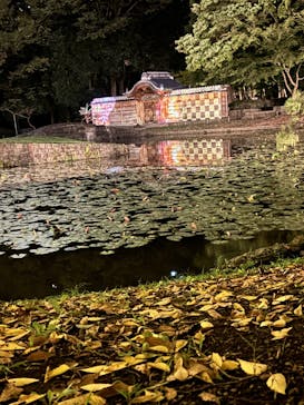 夜間特別開園 秋の夜長の小石川後楽園2025に投稿された画像（2025/10/19）