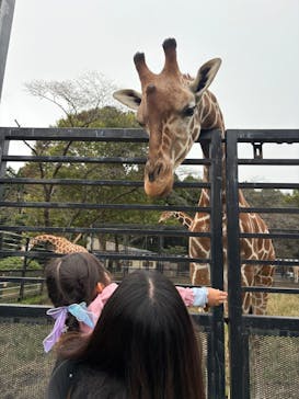 宇都宮動物園に投稿された画像（2025/10/19）
