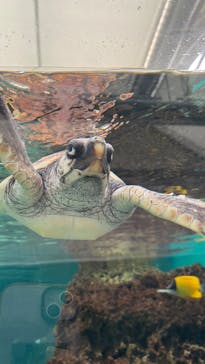 鴨川シーワールドに投稿された画像（2025/10/19）