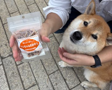 横浜おいも万博に投稿された画像（2025/10/19）