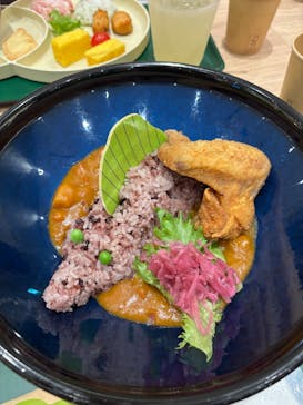 福井県立恐竜博物館に投稿された画像（2025/10/19）