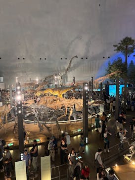 福井県立恐竜博物館に投稿された画像（2025/10/19）