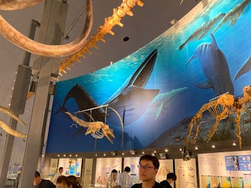 福井県立恐竜博物館に投稿された画像（2025/10/19）