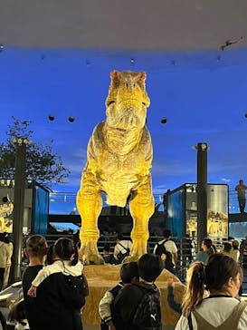 福井県立恐竜博物館に投稿された画像（2025/10/19）