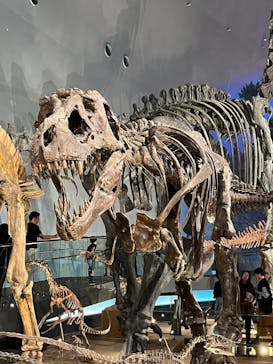 福井県立恐竜博物館に投稿された画像（2025/10/19）