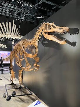 福井県立恐竜博物館に投稿された画像（2025/10/19）