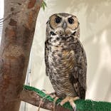 Moff animal cafe イオンモール新利府店に投稿された画像（2025/10/20）