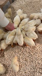 Moff animal cafe イオンモール新利府店に投稿された画像（2025/10/19）