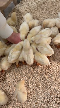 Moff animal cafe イオンモール新利府店に投稿された画像（2025/10/19）