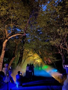 NAKED夜さんぽ™ 石川・那谷寺に投稿された画像（2025/10/19）