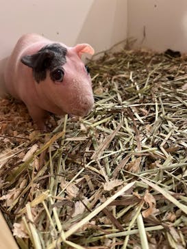 伊豆シャボテン動物公園に投稿された画像（2025/10/19）