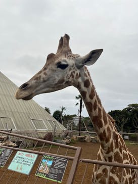 伊豆シャボテン動物公園に投稿された画像（2025/10/19）