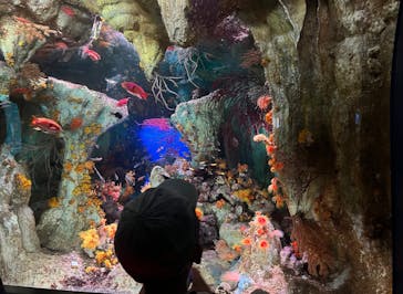 サンシャイン水族館に投稿された画像（2025/10/19）