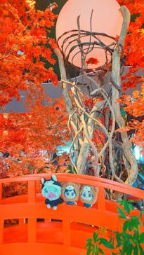 サンシャイン60展望台に投稿された画像（2025/10/19）