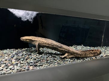 AOAO SAPPOROに投稿された画像（2025/10/19）