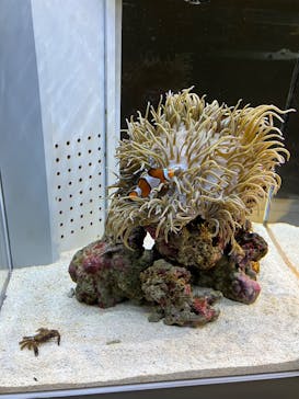 AOAO SAPPOROに投稿された画像（2025/10/19）