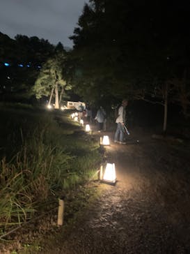 夜間特別開園 秋の夜長の小石川後楽園2025に投稿された画像（2025/10/19）