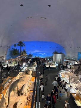 福井県立恐竜博物館に投稿された画像（2025/10/19）