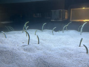 AOAO SAPPOROに投稿された画像（2025/10/19）