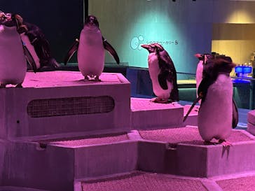 AOAO SAPPOROに投稿された画像（2025/10/19）