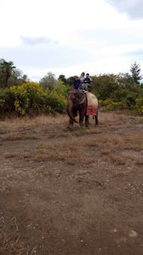 那須ワールドモンキーパークに投稿された画像（2025/10/19）