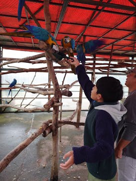 那須ワールドモンキーパークに投稿された画像（2025/10/19）