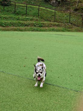 那須ハイランドパークに投稿された画像（2025/10/19）