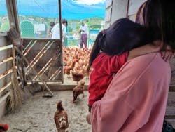 農業公園信貴山のどか村に投稿された画像（2025/10/19）