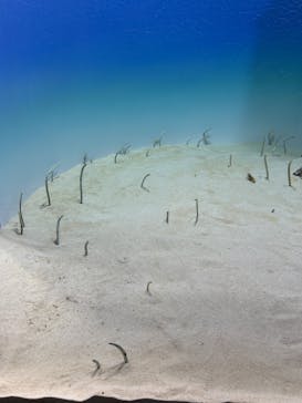 アクアワールド茨城県大洗水族館に投稿された画像（2025/10/20）