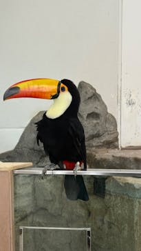 NIFREL（ニフレル）に投稿された画像（2025/10/20）