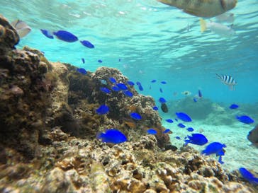 武藤潜水に投稿された画像（2025/10/20）