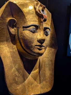 ACN ラムセス大王展 ファラオたちの黄金に投稿された画像（2025/10/20）