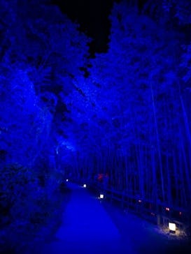 ニジゲンノモリに投稿された画像（2025/10/20）