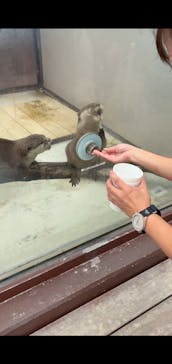 横浜・八景島シーパラダイスに投稿された画像（2025/10/20）