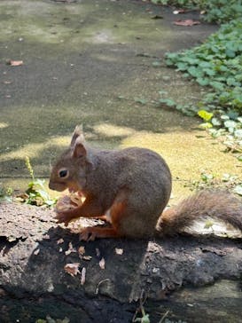 那須どうぶつ王国に投稿された画像（2025/10/20）