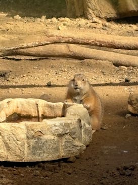 那須どうぶつ王国に投稿された画像（2025/10/20）