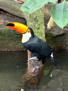 那須どうぶつ王国に投稿された画像（2025/10/20）