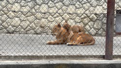 群馬サファリパークに投稿された画像（2025/10/20）