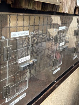 群馬サファリパークに投稿された画像（2025/10/20）