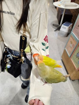 アニタッチアクアシティお台場に投稿された画像（2025/10/20）