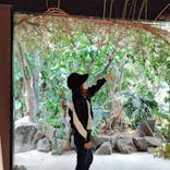 ニューヨークランプミュージアム＆フラワーガーデンに投稿された画像（2025/10/20）