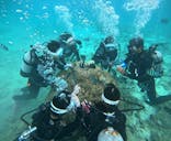 青の洞窟専門店　沖縄ダイビングショップ和に投稿された画像（2025/10/20）