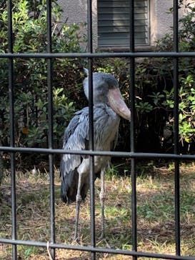 千葉市動物公園に投稿された画像（2025/10/20）