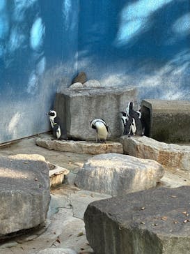 千葉市動物公園に投稿された画像（2025/10/20）