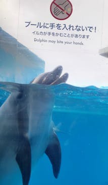 新江ノ島水族館に投稿された画像（2025/10/20）